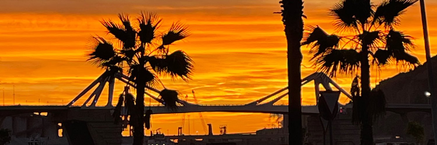 Eduard Doncos banner