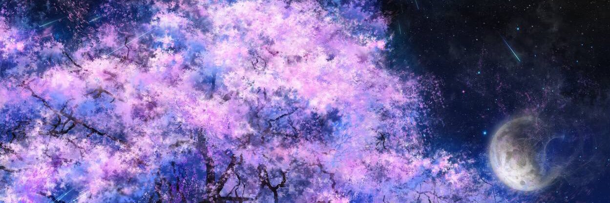 せいいち banner