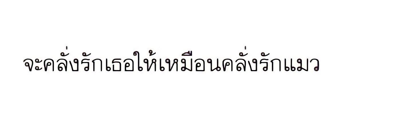 มย rest banner
