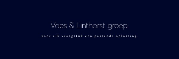 VaesenLinthorst Profile Banner