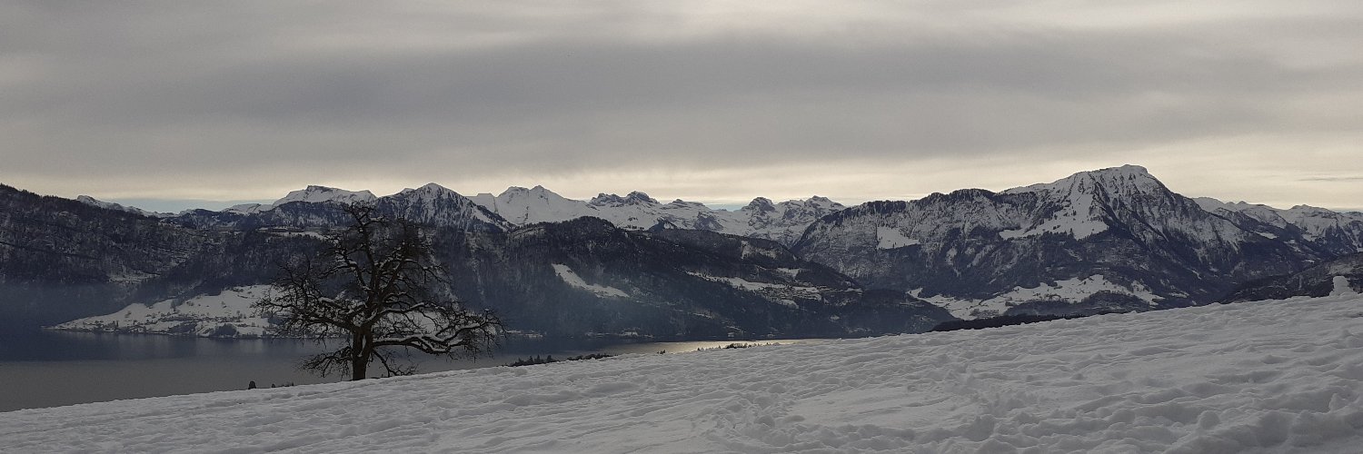 Bronwyn Price banner