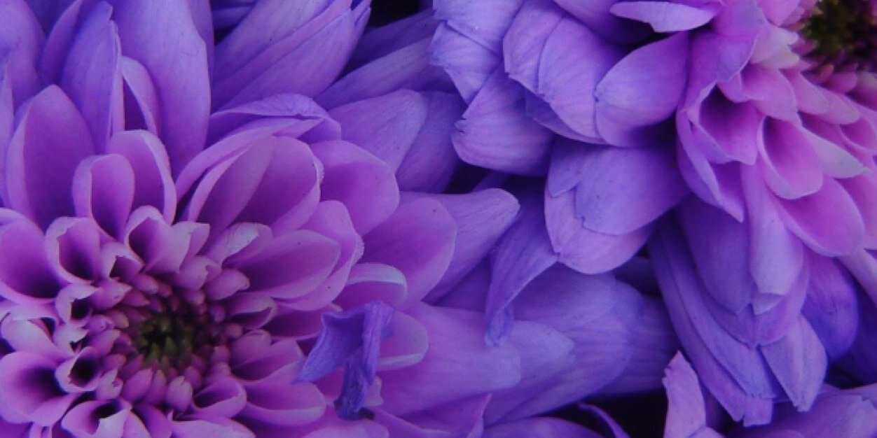 MmeJOliver's profile banner image