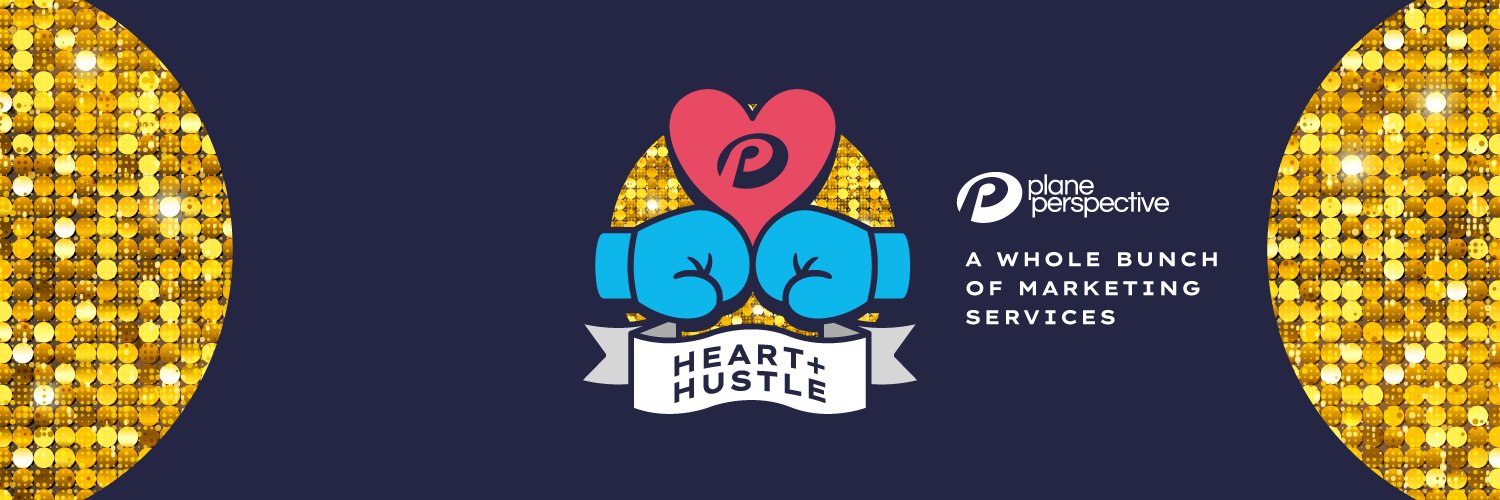 Plane Perspective banner