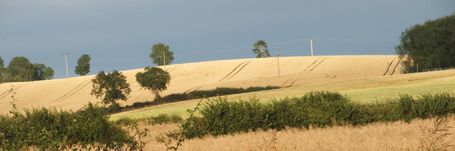 Big Dave Horne banner