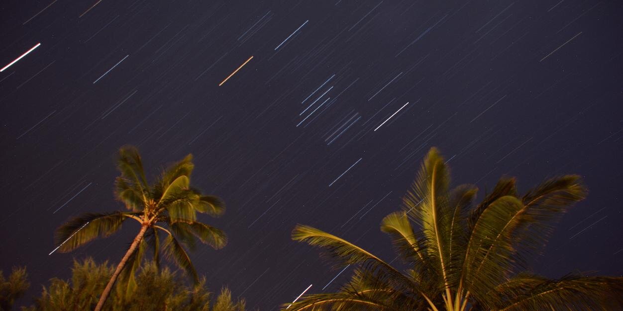 Bernardita Palacios banner