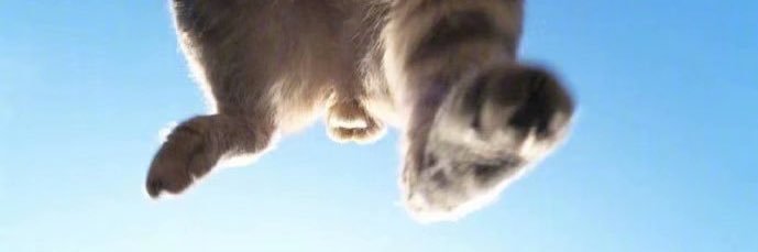 W banner