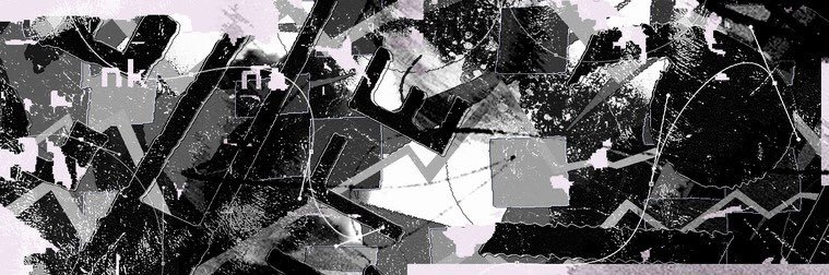 SETH T . banner
