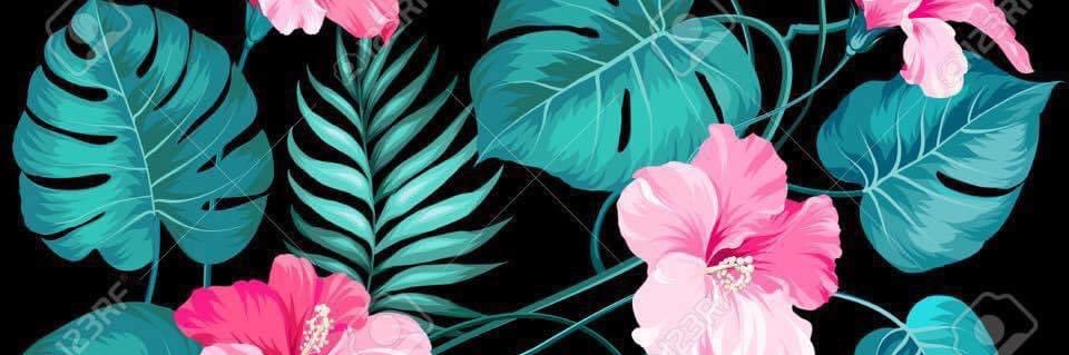 phollypocket's profile banner image