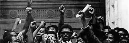 PAPI: Pan-African Power Institute banner