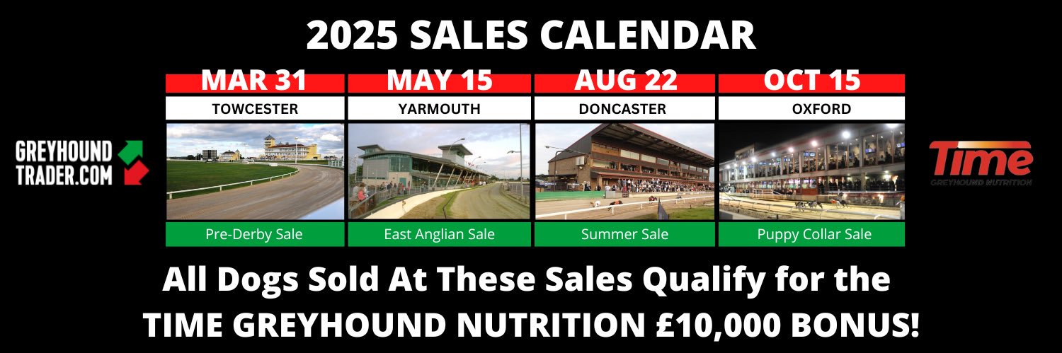 Greyhound Trader banner
