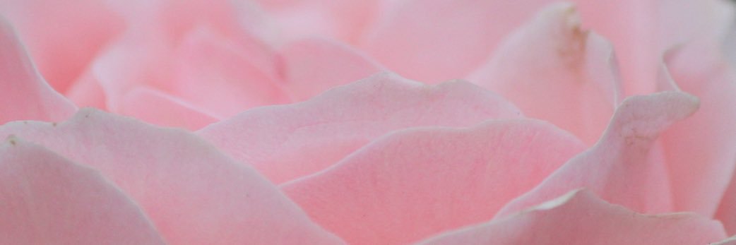 linlin_25's profile banner image