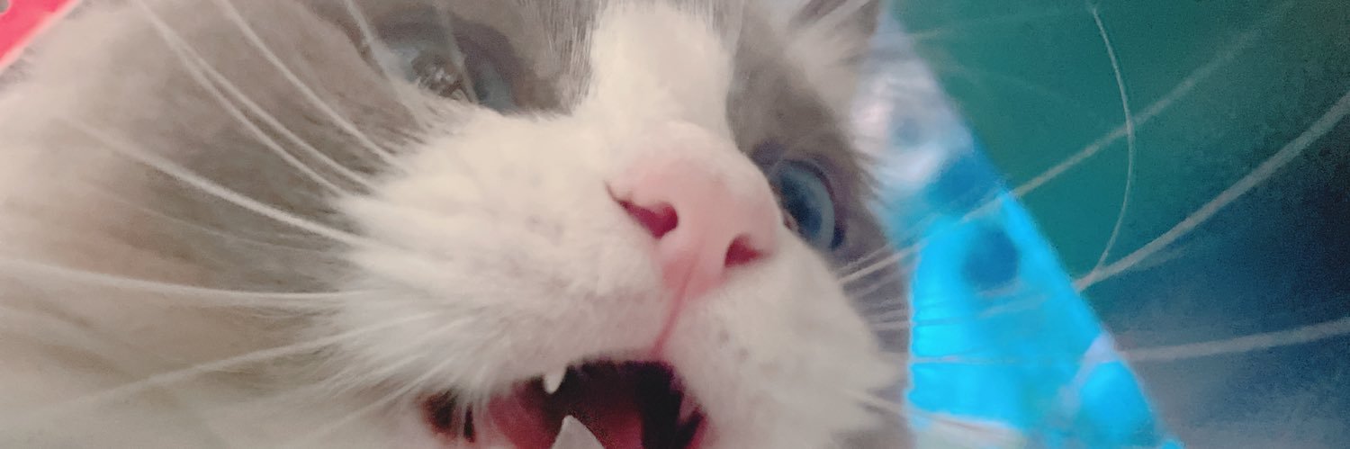 marmm21's profile banner image