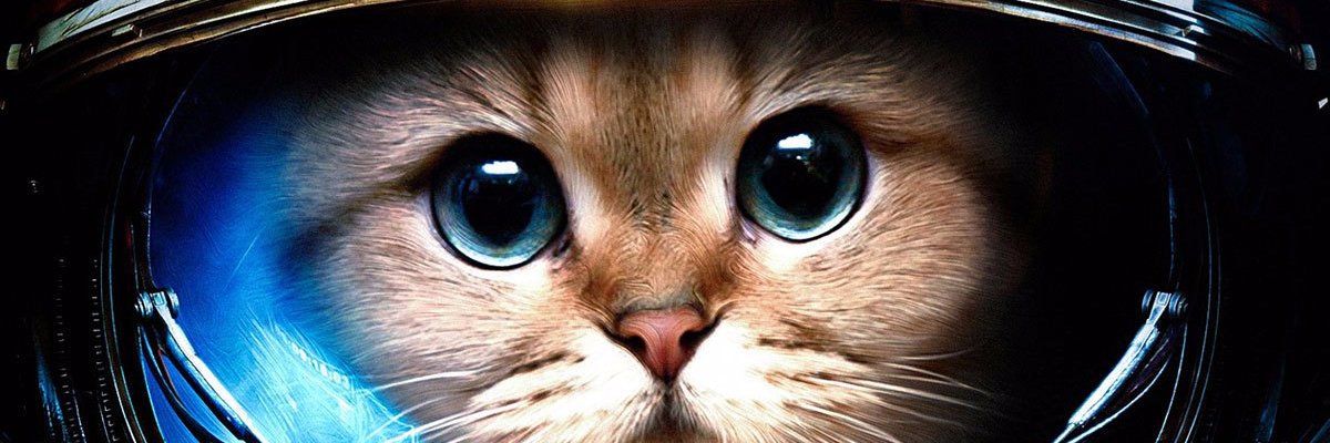 Leo06_G's profile banner image