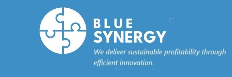 Blue Synergy banner