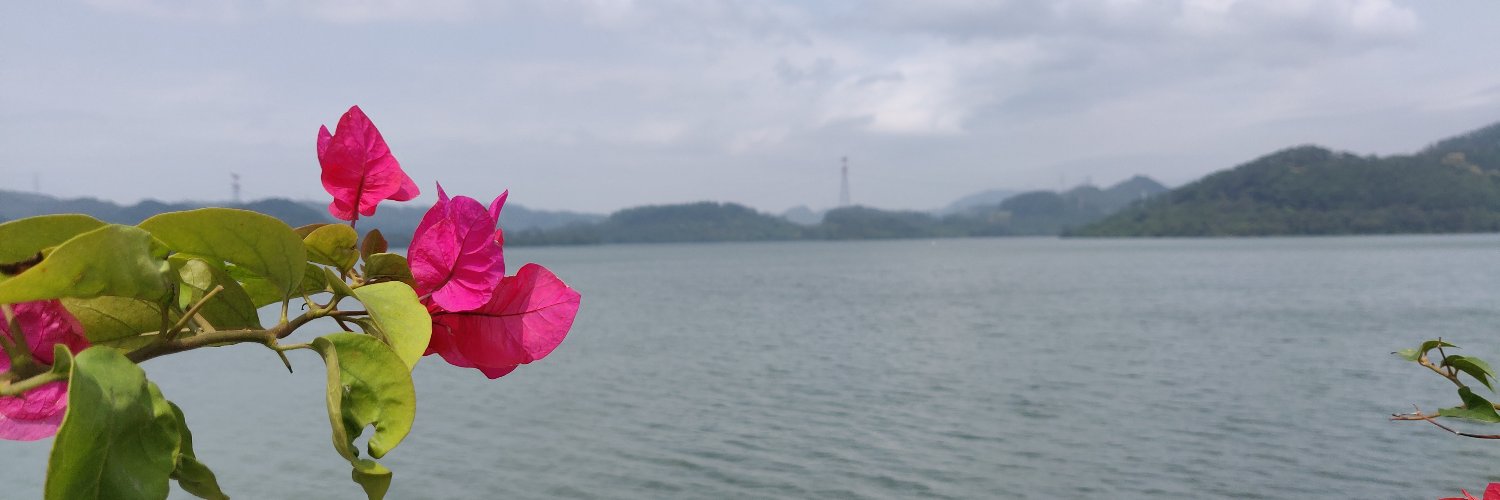 zack | 扎克 banner