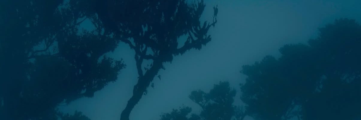 𝐒𝐨𝐟𝐢𝐚♏︎ banner