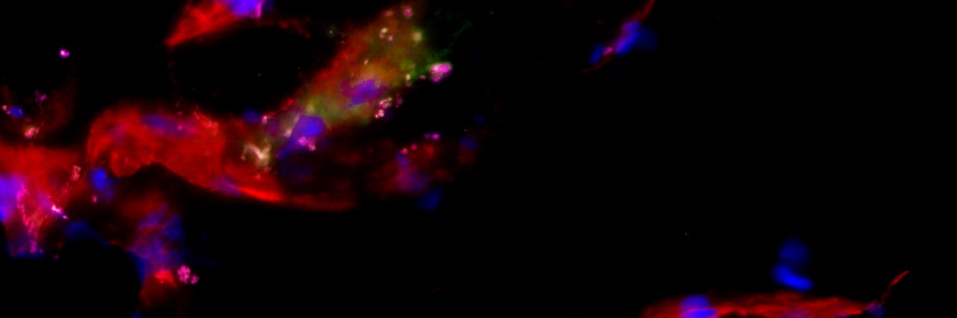 Neuroscience_MMU's banner