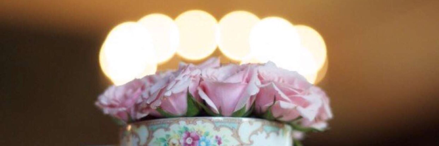 3Dalia55's profile banner image