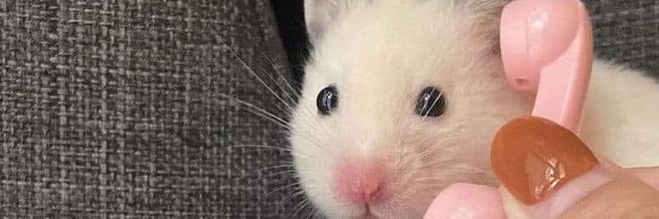 igotji_'s profile banner image