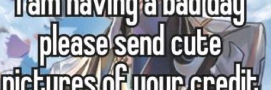 raider banner