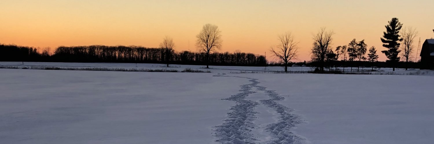 RiverLife 🇺🇸🌳🏕️ banner