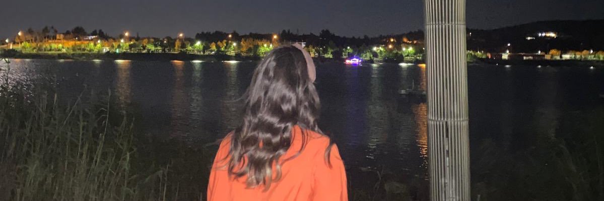 BozFigen's profile banner image