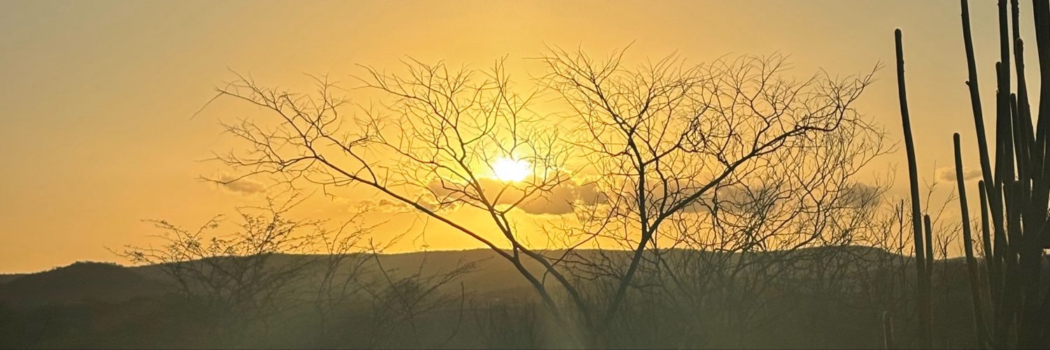 Danielle2711's profile banner image
