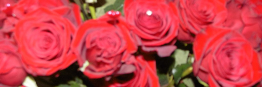 Lainaling's profile banner image