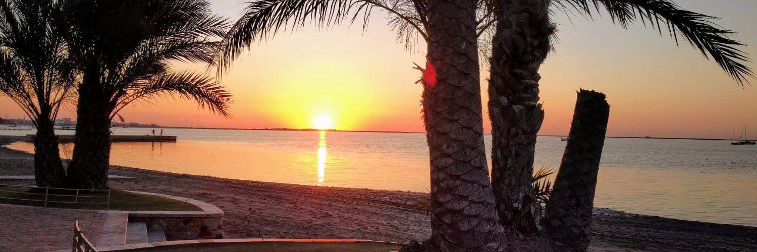 María José Catalán banner