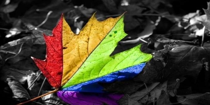 Devang__Dave's profile banner image