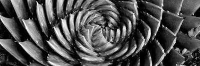 micro-manager banner