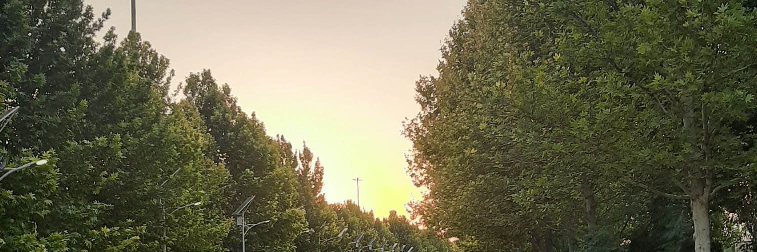 سنت برنارد banner