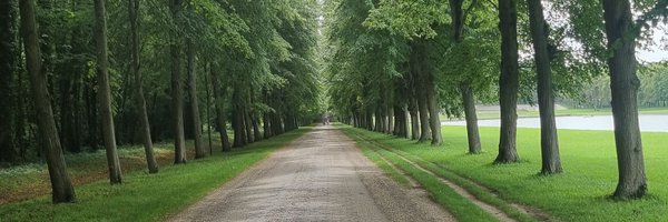 CarolRiveraL Profile Banner