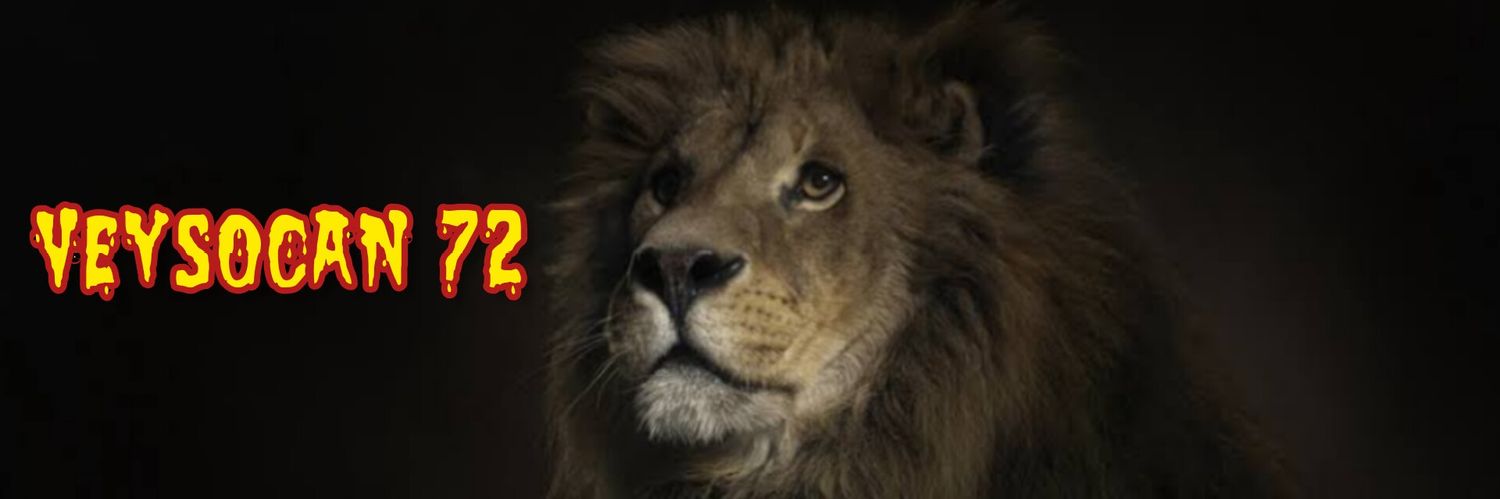 esmerveyso's profile banner image