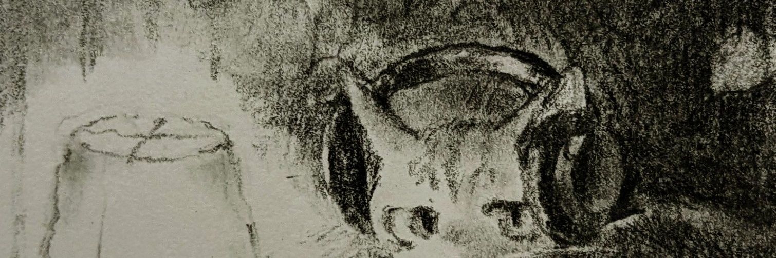paozinhe's profile banner image