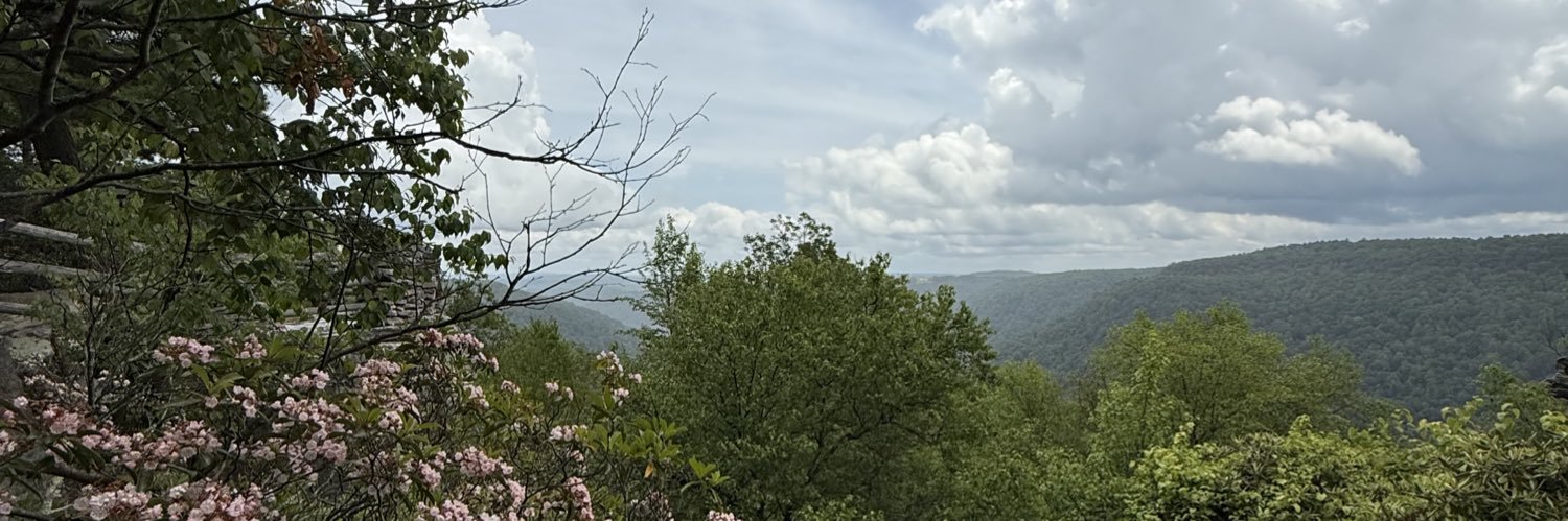 222morganranee's profile banner image