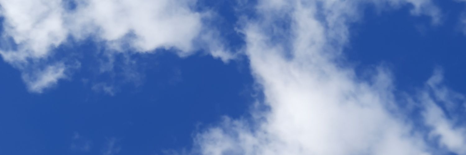 Anaabastidaa's profile banner image