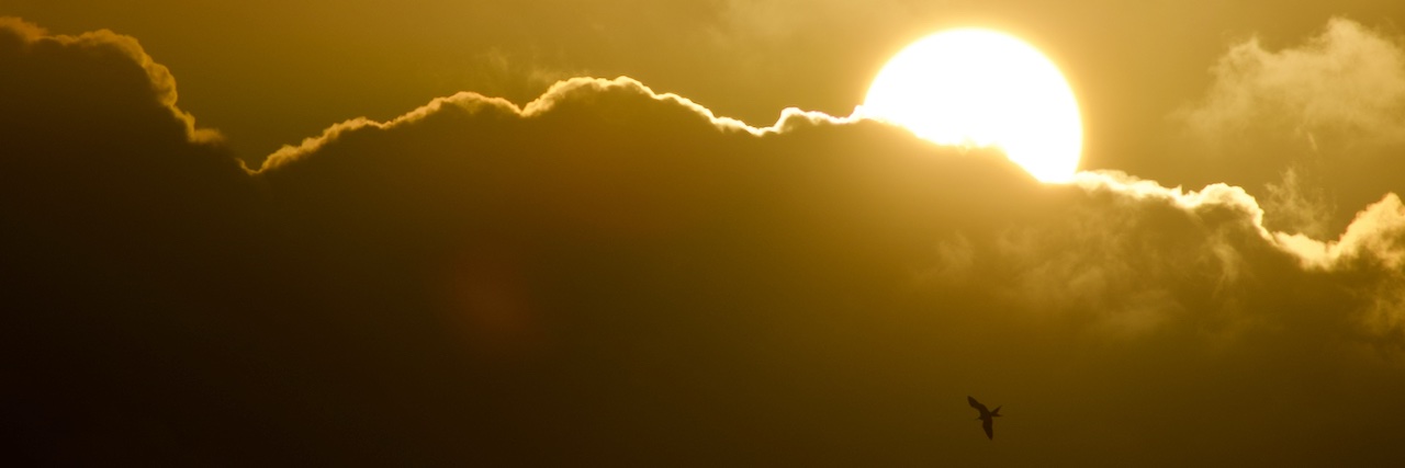 Anthony Leiserowitz banner