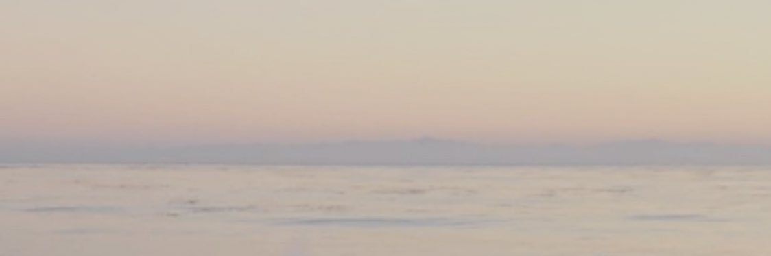 Gabriella Campbell banner