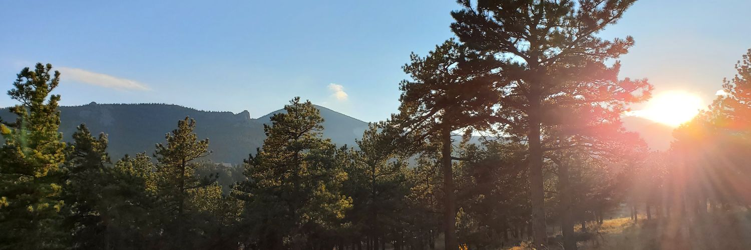 BoiF3m's profile banner image