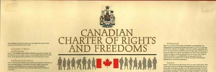 Liam Meade 🇨🇦🇪🇺🏳️‍🌈⚘️ banner