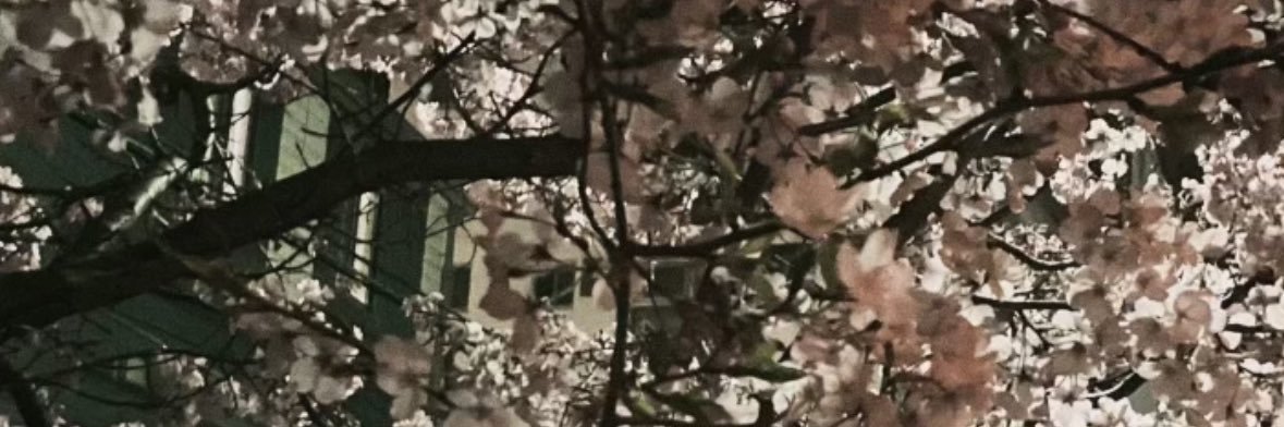AAA_dtjpwpj's profile banner image