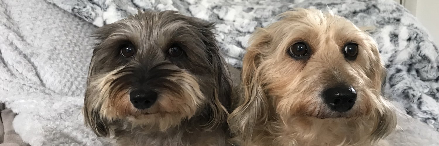 MirandaMcewan's profile banner image