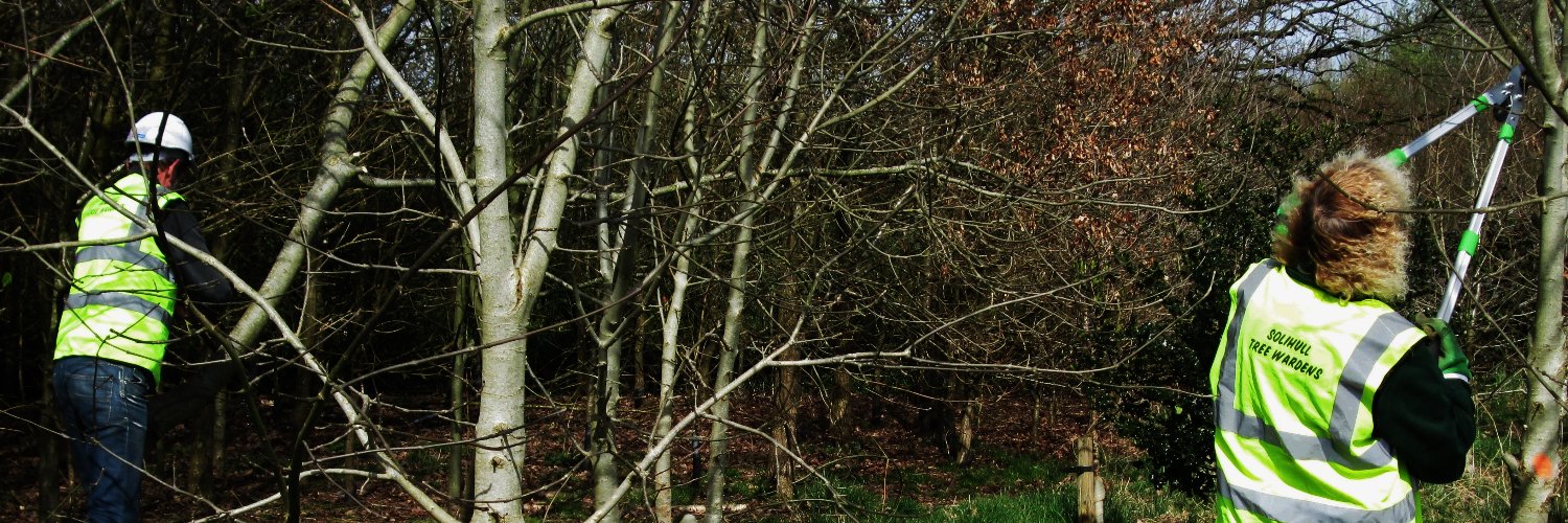 Solihull Tree Wardens banner