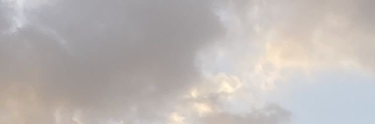 meera banner