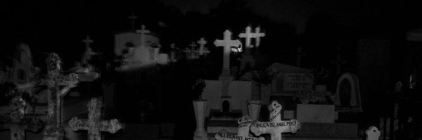 FluFouln Profile Banner