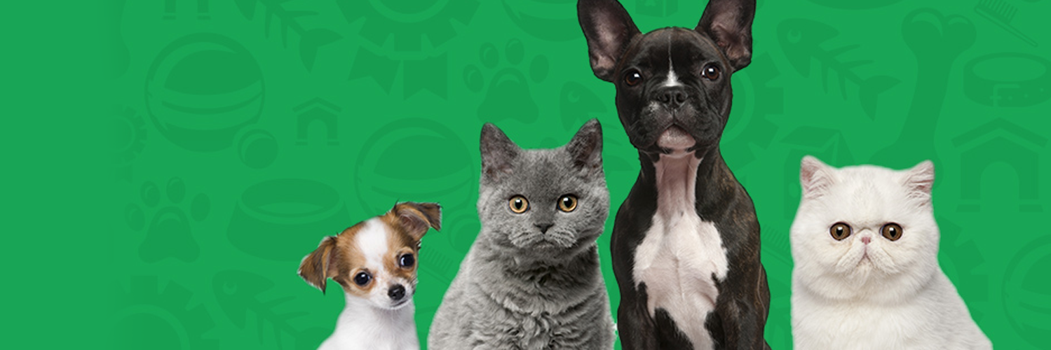 GNCPets's profile banner image
