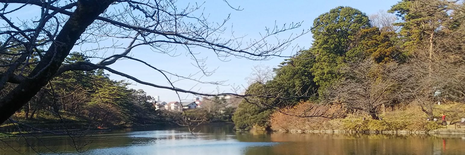 nousagi_hasiri's profile banner image