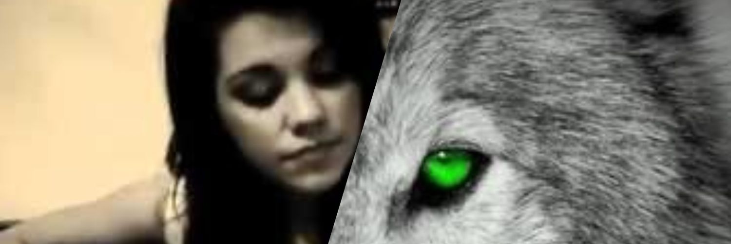 RunawayWolf_'s profile banner image
