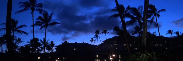 Larsonomics Profile Banner